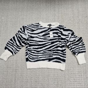 Express zebra striped sweater